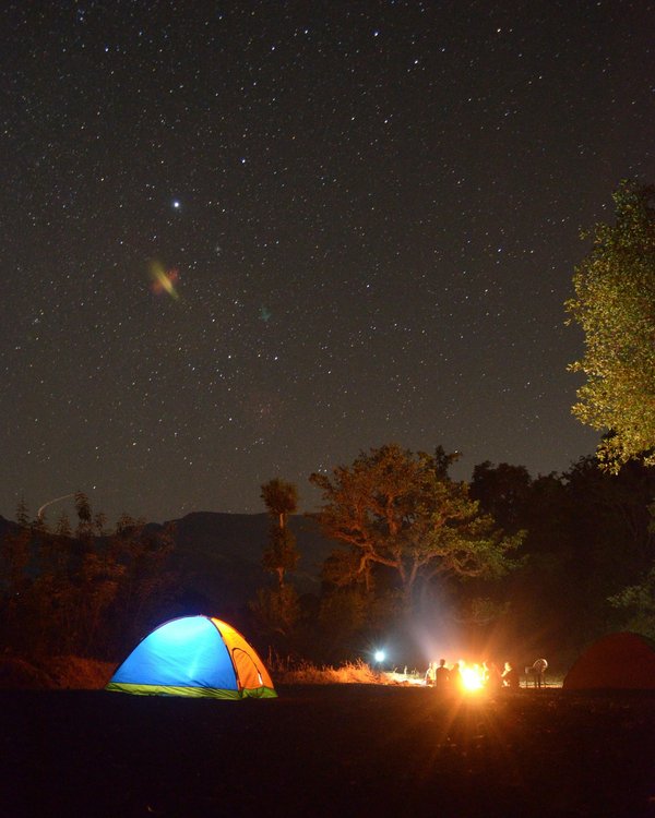 Vivez l'expérience unique du camping vensac en médoc !